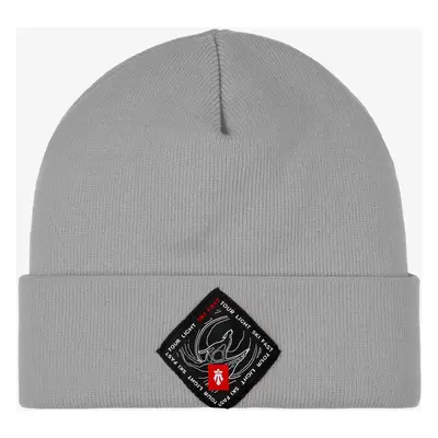 Zimní čepice Majesty Beanie Ski Fast - grey