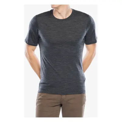 Merino triko Smartwool Merino Short Sleeve Tee Boxed - iron heather