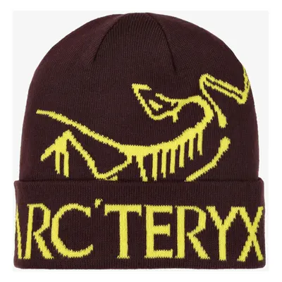 Zimní čepice Arcteryx Bird Word Toque - phantasm/euphoria