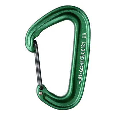 Lezecká karabina Black Diamond MiniWire - green