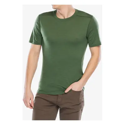 Merino triko Smartwool Merino Short Sleeve Tee Boxed - fern green