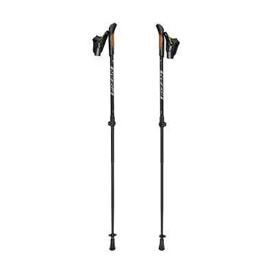 Nordic walking hůlky Fizan Revolution Pro