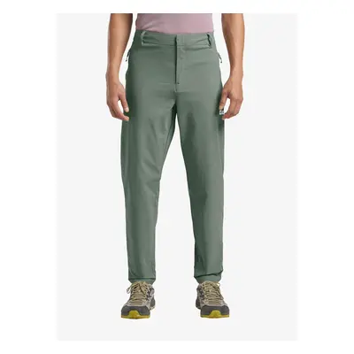 Softshell kalhoty Jack Wolfskin Hikeout Pants - slate green