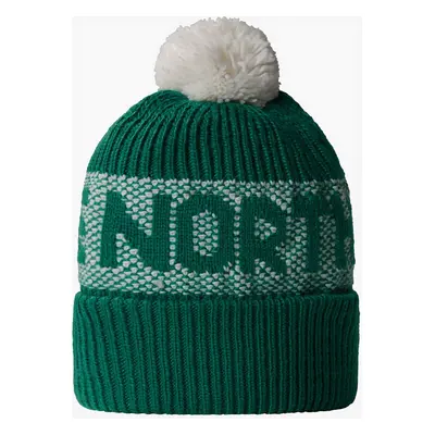 Zimní čepice The North Face Retro Cabin Beanie - evergreen/white dune