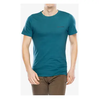 Bavlněné tričko Columbia Rapid Ridge Back Graphic Tee II - river blue/button badge