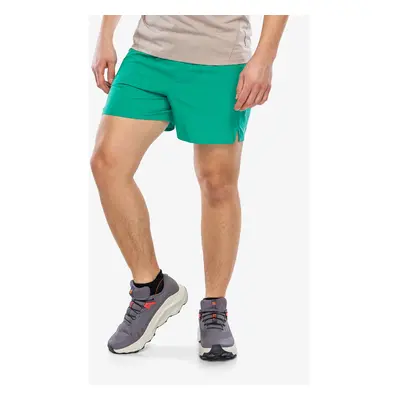 Pánské kraťasy Salomon Shakeout Core Shorts - parakeet