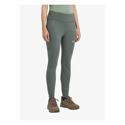 Dámské legíny Jack Wolfskin Klintal Tights - slate green