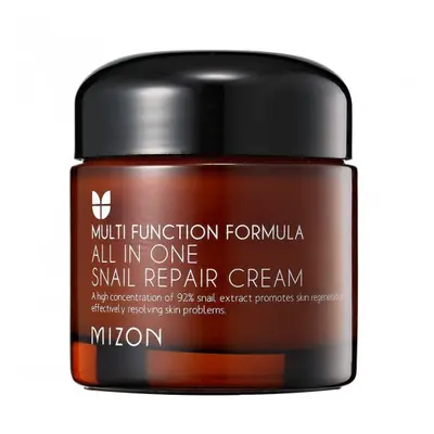 MIZON All In One Snail Repair Cream - anti-age pleťový krém se šnečím extraktem