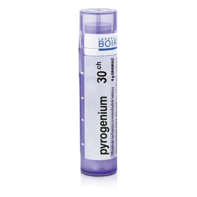 Pyrogenium 30CH gra.4g