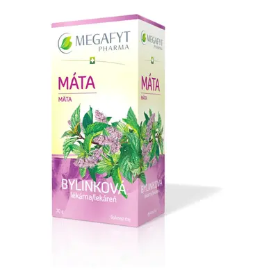 Megafyt Bylinková lékárna Máta 20x1.5g