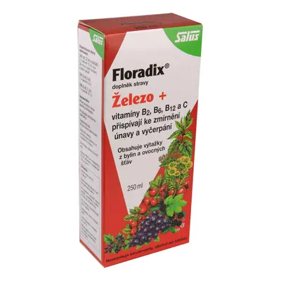 Salus Floradix 250ml