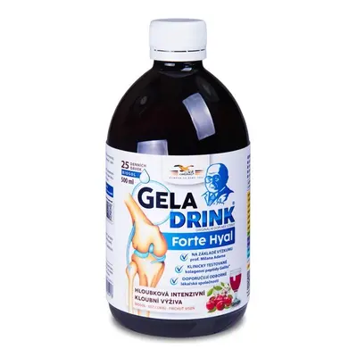 Geladrink Fofte Hyal biosol višeň 500ml