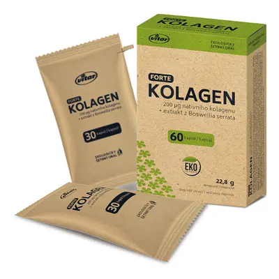 VITAR Kolagen EKO cps.60