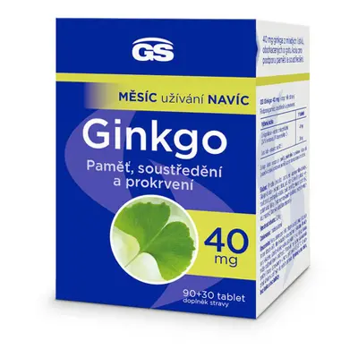 GS Ginkgo 40mg tbl.90+30