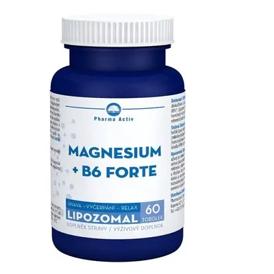 Magnesium +B6 forte lipozomal tob.60