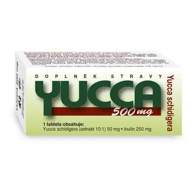 NATURVITA YUCCA 500mg tbl.60