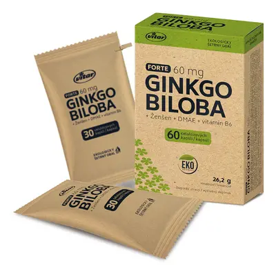 Vitar Ginkgo biloba 60mg+DMAE+vit.B6 EKO cps.60