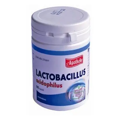 Apotheke Lactobacillus acidophilus tbl.60