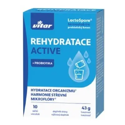 Vitar Rehydratace Active 10x4.3g