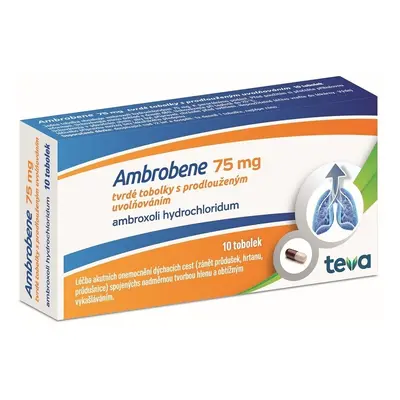 AMBROBENE 75MG CPS PRO 10