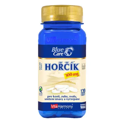 VitaHarmony Hořčík tbl.120x300mg