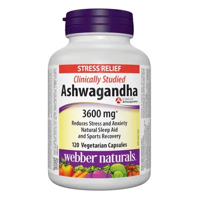 Webber Naturals Ashwagandha 3600 mg 120 cps