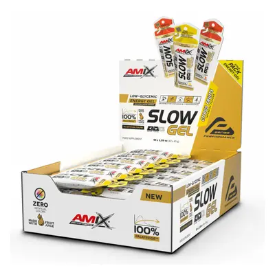 Amix Performance Slow Gel 40 x 45 g citrus fruits