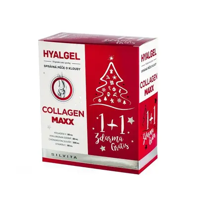 Hyalgel Collagen MAXX vánoční balení 2x500ml