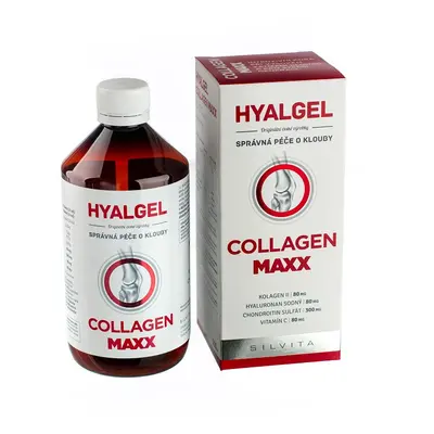 Hyalgel Collagen MAXX 500 ml