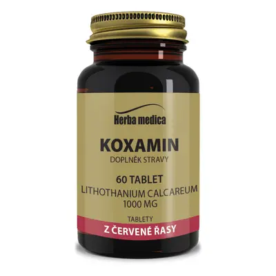 Koxamin 1000mg tbl.60