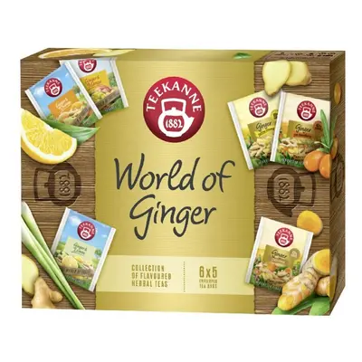 TEEKANNE World of Ginger kolekce čajů 6x5ks