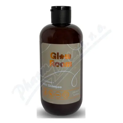 Glow Room Hydration+ šampon na suché vlasy 250ml