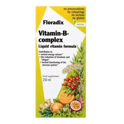 Salus Floradix Vitamin-B-komplex 250ml