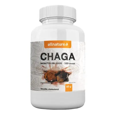 Allnature Chaga rezavec šikmý cps.100