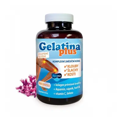 Gelatina Plus cps.360