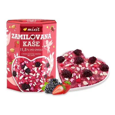 Mixit Zamilované ovoce na kaši 230g