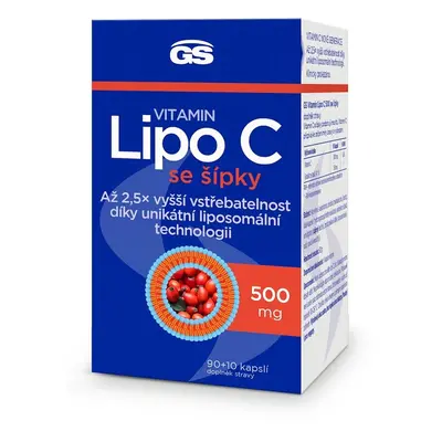 GS Vitamin Lipo C 500mg se šípky cps.90+10