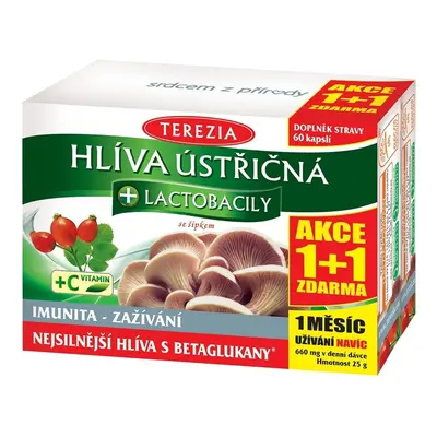 TEREZIA Hlíva ústřičná+lactobacily 60+60 kapslí