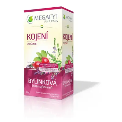 Megafyt Bylinková lékárna Kojení 20x1.5g