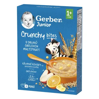 Gerber Junior nemléčná kaše ovocná 200g 1R+