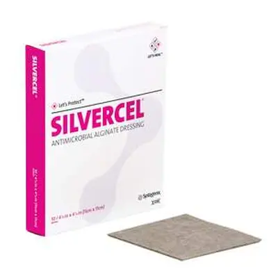 SILVERCEL HYDRO-ALGINATE ANTIMIKROBIÁLNÍ KRYTÍ SE STŘÍBREM 11X11CM,(10KS V BALENÍ)