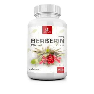 Allnature Berberin Extrakt 98% 500mg cps.60