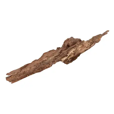 Dekorace Desert driftwood XXL