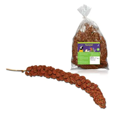 Senegalské proso červené, 200g