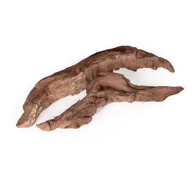 Dekorace Desert driftwood M