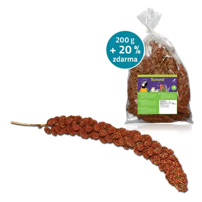 Senegalské proso červené, 200g + 20%