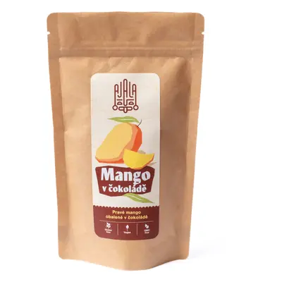 AJALA CHOCOLATE Mango v čokoládě