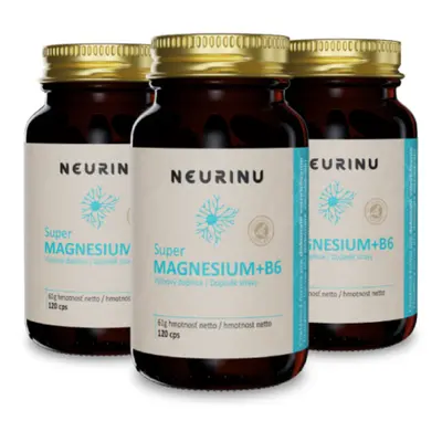 3x Super Magnesium+B6