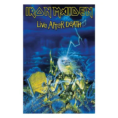 Iron Maiden textilní banner 68cm x 106cm, Live After Death