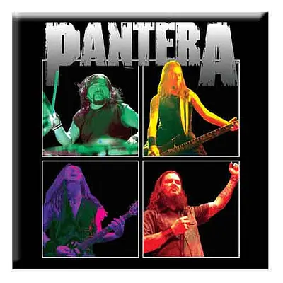 Pantera magnet na lednici 75mm x 75mm, Band Photo